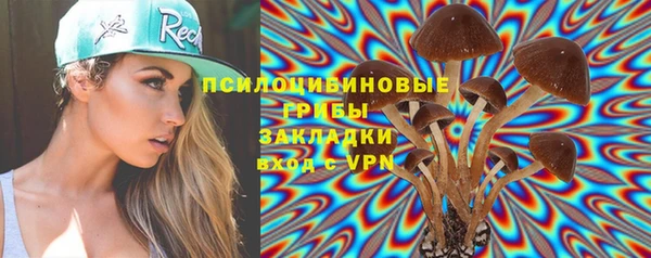 мяу мяу мука Арсеньев