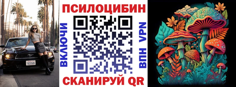 Галлюциногенные грибы Psilocybe  Нея 